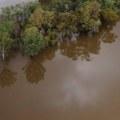 Alarmantno stanje, krokodili su svuda: Razarajuće poplave raznele most, stanovnici ugroženi