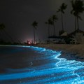 Bioluminiscentne plaže Maldiva i Šri Lanke: More koje svetli noću