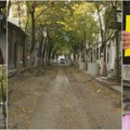 Zemunci u borbi protiv seče stabala zbog parking mesta: "Nismo do kraja oslobodili Zemun u Drugom svetskom ratu"