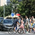 Zemunci izneli balvane na blokade, a pogledajte tek koje životinje su poveli sa sobom