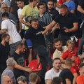 FOTO Jad i beda: Ovi Vučićevi batinaši su tukli ljude na Marakani