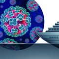SZO: Ovo nije početak nove pandemije, hantavirus prenosiv između ljudi samo kod produženog kontakta