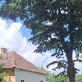 Hit oglas u Vojvodini! Prodaje se kuća sa velikim imanjem za 10.000 evra: Idealna za vikendicu, ali ima jednu caku (foto)