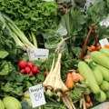 Pad cena poljoprivrednih proizvoda i ribe 1,6 odsto