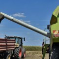 Novosadska produktna berza: Šta se dešava sa kukuruzom, pšenicom, sojom i suncokretom? Manjak robe podiže cene.