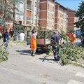 FOTO: "Čistoća" nakon nevremena očistila 176 novosadskih ulica od otpada
