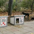 U Nišu postavljeno 15 kućica za pse lutalice koji nemaju gde tokom zime