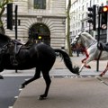 Krvavi konji jurili londonom: Nazapamćen incident u britanskoj prestonici