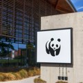 WWF o katastrofalnom gubitku: Za 50 godina broj divljih životinja opao za 73 odsto