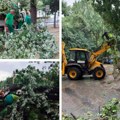 Intervencije na uklanjanju iščupanih stabala, slomljenih grana... Brzom reakcijom „Gradskog zelenila“ sanirane posledice…