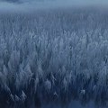 Nova 3 regionalna instrumentalna albuma kojima nisu potrebne reči da bi preneli poruku
