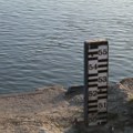 Da li nizak vodostaj ugrožava riblji fond