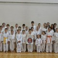 Održan Memorijalni turnir “Nemanja i Zorana”