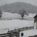 Zabelela se Srbija! Sneg neprekidno pada na Zlatiboru, Tari i u Užicu, temperatura pala na nulu (foto)