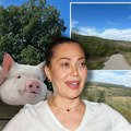 Mance znao arkana, SAD prodao ceci njivu za farmu svinja! Za Kurir otkriva detalje: Lidija pregovarala oko cene, ovo je razlog…