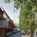 Након стручне анализе: Обнавља се дрворед код стадиона "Карађорђе"
