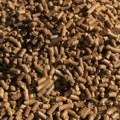 Cena peleta dostiže i 46.000 dinara po toni, na manjim stovarištima liste čekanja