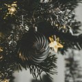 Zašto ukrašavamo novogodišnju jelku i odakle potiče ova čarobna tradicija?