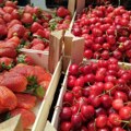 Sa pijace mame jagode i trešnje: U Paraćinu cene polako padaju, a kupaca ima (foto)