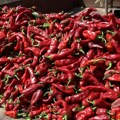 Koje paprike su najbolje za ajvar, a koje za sataraš i punjenje? Od odabira sorte mnogo zavisi kakav će ukus imati