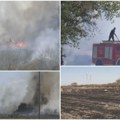 Paljenje strnjike izazvalo nezgode u Sremu: Gusti dim krije opasnost na putu, stručnjaci hitno upozoravaju
