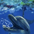 Ujedinjene nacije usvojile sporazum o zaštiti morskog života na otvorenom moru