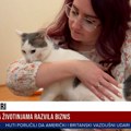 Anita i Saša iz Novog Sada su mačkositeri! Njihov posao nije nimalo jednostavan, ali zarada je dobra (video)