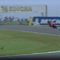 Zeko, zekane, mali Moto GP zvekane (VIDEO)