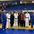 ODRŽAN MEĐUNARODNI SEMINAR REALNOG AIKIDOA “LJUBA VRAČAREVIĆ 2025”: Goran Krstić jedan od predavača