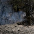 Bugarska: za tri dana registrovano 43 požara, očekuje se teško leto