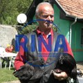 Ovo je perje zlata vredno: Mujo iz Novog Pazara čuva najskuplje kokoške na svetu, kod njih je sve crno – i oko, i hober i meso…