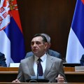 Vulin: BRIKS od Srbije ne traži da se odriče svog suvereniteta