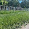 Dobar dan iz Kragujevca!