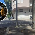Жену у Београду ударио ауто након отказивања кочница усред вожње: Ево шта да урадите да избегнете трагедију