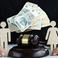 Iz Alimentacionog fonda isplaćeno više od 63 miliona dinara za skoro 1.000 dece: "Dete ne sme da čeka da se roditelji dogovore"…