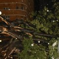 Nevreme zahvatilo Srbiju: U Vojvodini vetar obarao drveće, grmljavina i pljusak u Beogradu