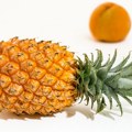 Ananas – riznica korisnih sastojaka za plodnost i zdravlje krvnih sudova
