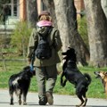 Gradske službe ne mogu da postignu da očiste sav pseći izmet, ova beogradska opština razmatra da uvede nove kazne za…