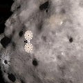 Sonda Lusi posetila svoj prvi asteroid /foto/