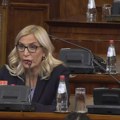 Maja Popović osudila napad na aktiviste SNS: Politička nezrelost opozicije u Srbiji, nadležne institucije da reaguju