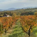 Izgradnja brze saobraćajnice „Vožd Karađorđe“ počinje na proleće