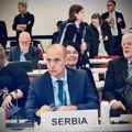 Veliki uspeh našeg zdravstva: Srbija u Izvršnom odboru Svetske zdravstvene organizacije (SZO)