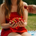 Ovo voće pomaže u mršavljenju: Četiri razloga da jedete jagode FOTO