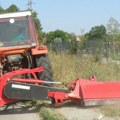Jkp Šumadija nastavlja akciju suzbijanja ambrozije na gradskim zelenim površinama