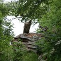 Čovek snimao nestvarno lepo jezero u Srbiji, a kad je kameru okrenuo ka kopnu, uhvaćen jeziv kadar! Šta je ovo