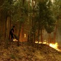 Život posle požara u Žitorađi: Nekima kuće već sagrađene, drugi još prikupljaju papire