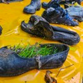 Izložba „Bacili smo sve u reku“ pokazala sav otpad koji završava u Svrljiškom Timoku