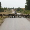 Krivične prijave Pokreta Kreni-Promeni protiv vrha vlasti zbog postupanja tokom požara