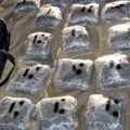 Uhapšene tri osobe nakon primopredaje 60 kilograma marihuane kod Obrenovca