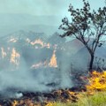 MUP apeluje na sve građane da se uzdrže od bilo kakvog paljenja